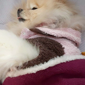 今日はカラーの授業でした＼(^^)／の画像