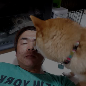 本日のﾍﾞﾛﾍﾞﾛ(笑)の画像