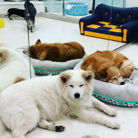 ☆今日のフリースペース☆の画像