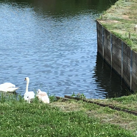 可愛すぎるの画像