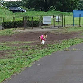 ラフ・コリー　クーランへの画像