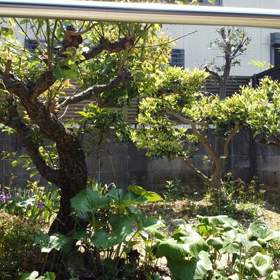 これが正解ですの画像