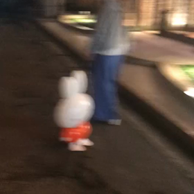面白い人を発見の画像