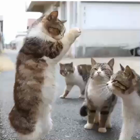 地区大会のプログラムの画像
