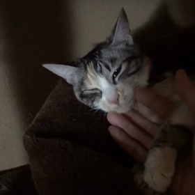 咲良ちゃんとの最後の夜の画像