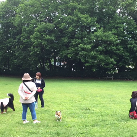 久しぶりのわんパークの画像