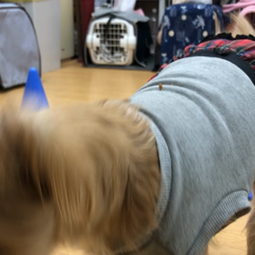 シェリ編。の画像