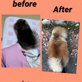 色の変わりの画像