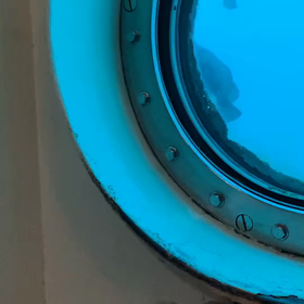 生水族館の画像