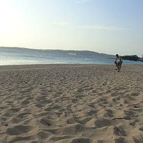 元気がない 病院への画像