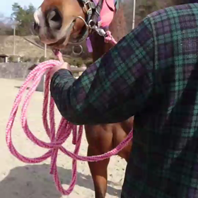 マハーラーニーが帰って来ましたの画像