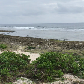 スーサイド波情報❗️《11/21》の画像