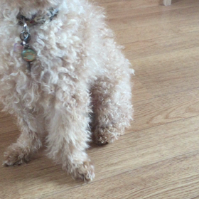 どっちだ？の画像