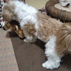 そらの一人遊びの画像