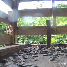 すぎぴたんの事件簿シーズン3　359話（ひとっ風呂の後はメシ！　やんけ～！）の画像