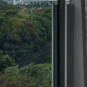 青い瞳のステラ、、の画像