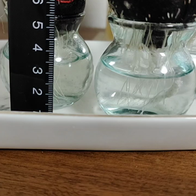 ヘアラボ　チャレンジ　十二日目の画像