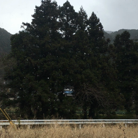 試運転で、雪がチラチラの画像