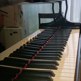 音を聴くの画像