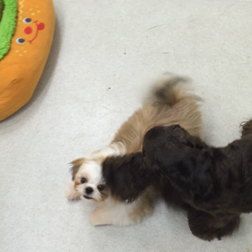 ♪プレイルーム動画♪③の画像