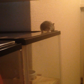 明日は我が身。の画像