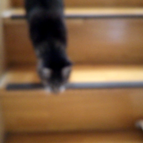 今日はゴールドラッシュの日の画 像