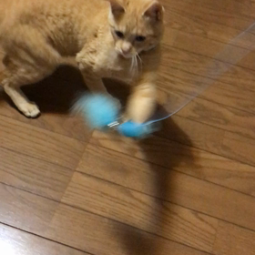 3時過ぎに遊ぶ！！の画像