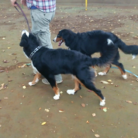 動画って、むずかしいの画像