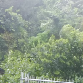 なんでお盆休みに？の画像