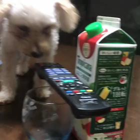 リンゴジュースのみたいのよの画像