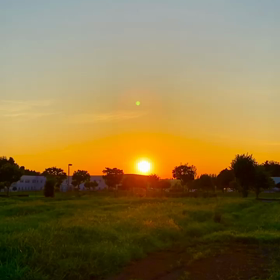 ひぐらしが鳴けどもの画像
