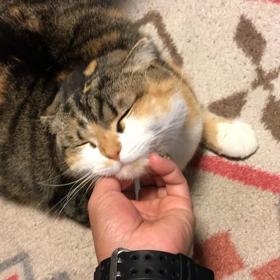 ウチでの暮らしは。。。の画像