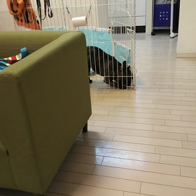 マックス５日目☆の画像