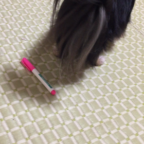 桜良の一人遊びの画像