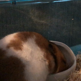 撮影成功？？の画像