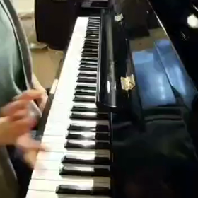 Forest Showerの画像