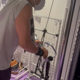 腕トレ合トレの日の画像