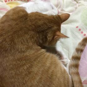 一人は嫌いの画像