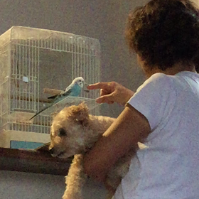 プー&ミュ！の画像