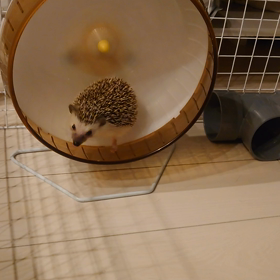 投稿95＃初めての病院wの画像