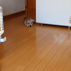 小さい時は‥の画像