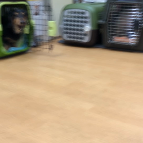 いい加減慣れようぜ。の画像