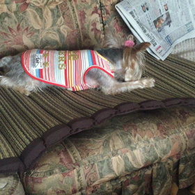 【動画】実況中継しましたw （前半）の画像