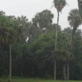 Rainy day! 雨が降って！の画像