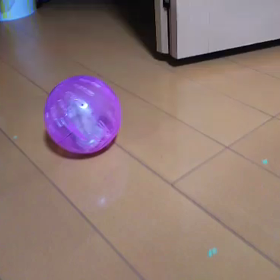 賛否両論の画像