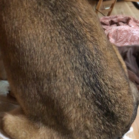 ほりほりの画像