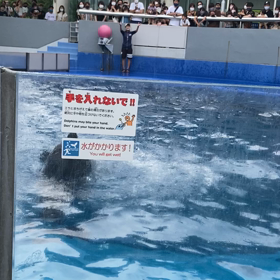 夏休み・・・こんな悩みも後一週間♬なはず。の画像