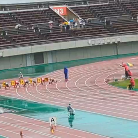 クラブ交流6年100m④の画像