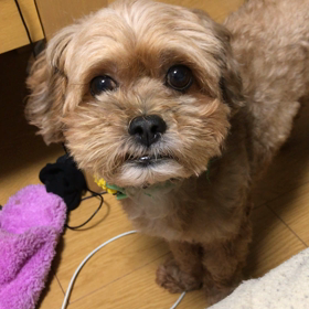 ビクビクの画像