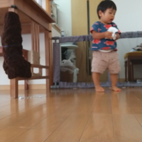 ぞうきん掛け。の画像